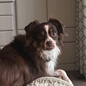 Meet your Posher, Cj